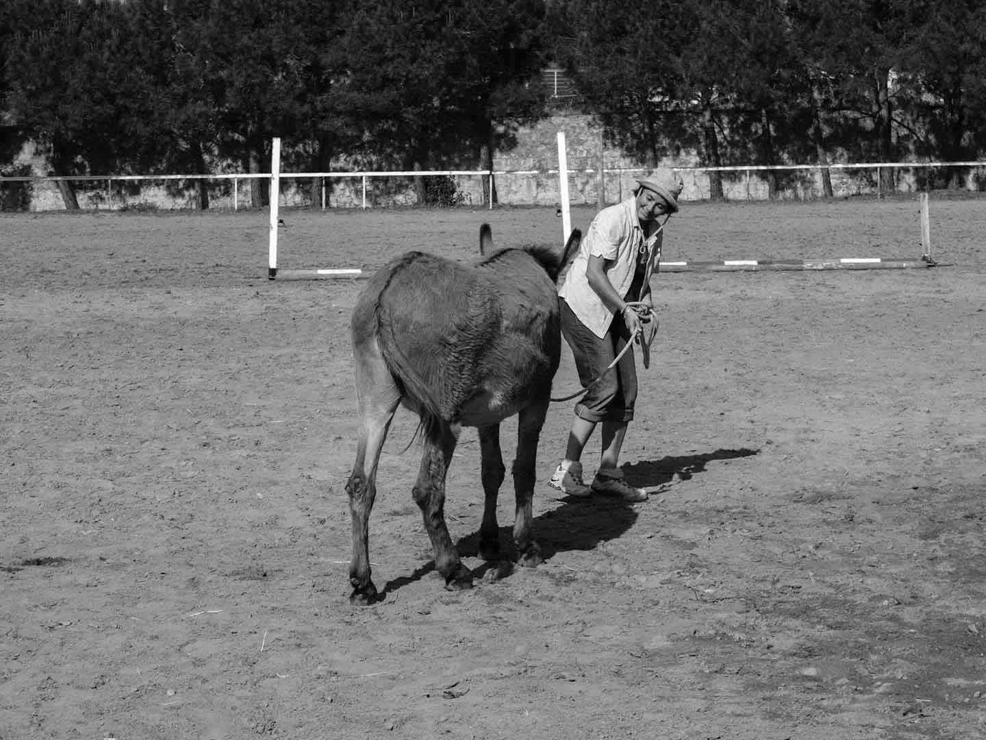Laboratori Esperienziali Interspecifici