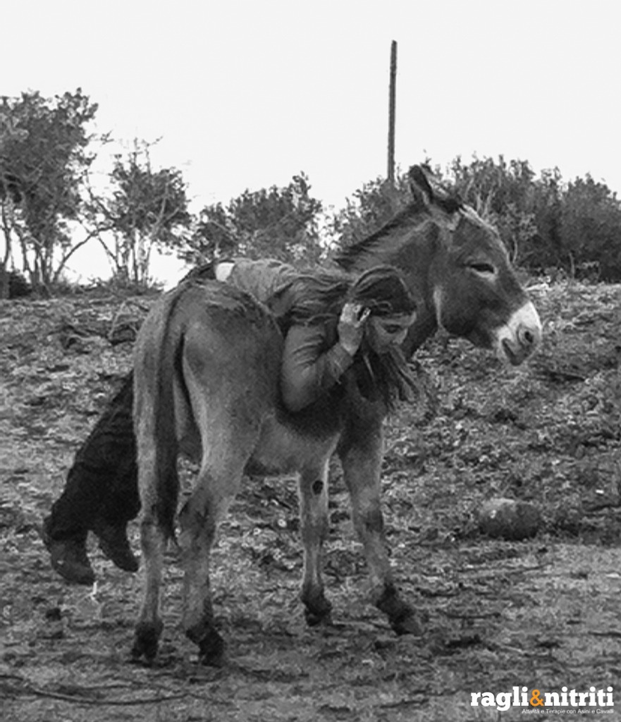Gli asini e il Paradiso